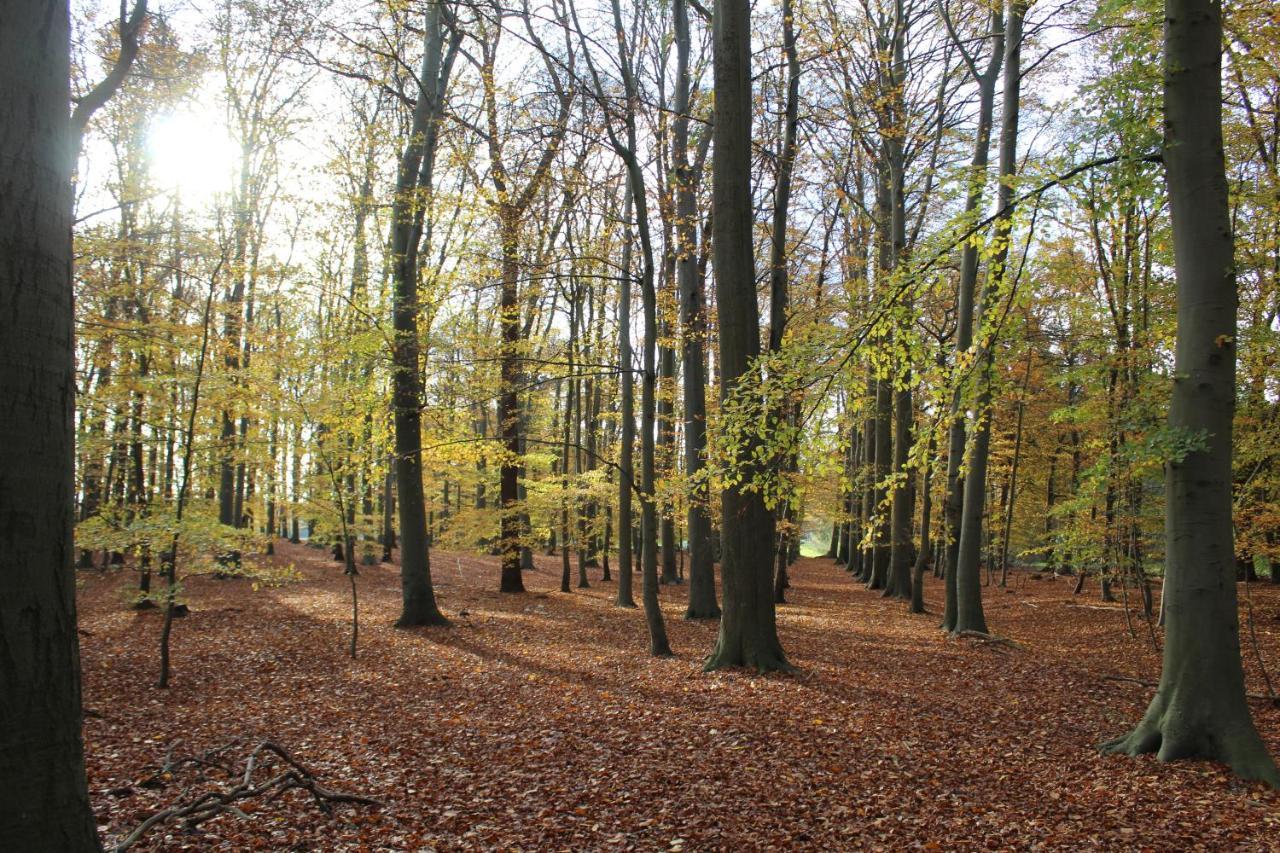 Ferienhaus Auf Gut Sautmannshausen Haselünne Exteriör bild