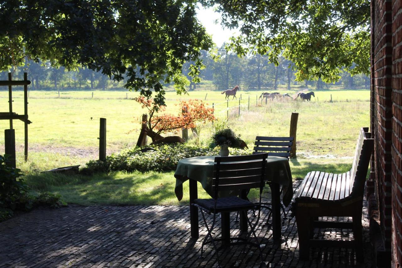 Ferienhaus Auf Gut Sautmannshausen Haselünne Exteriör bild