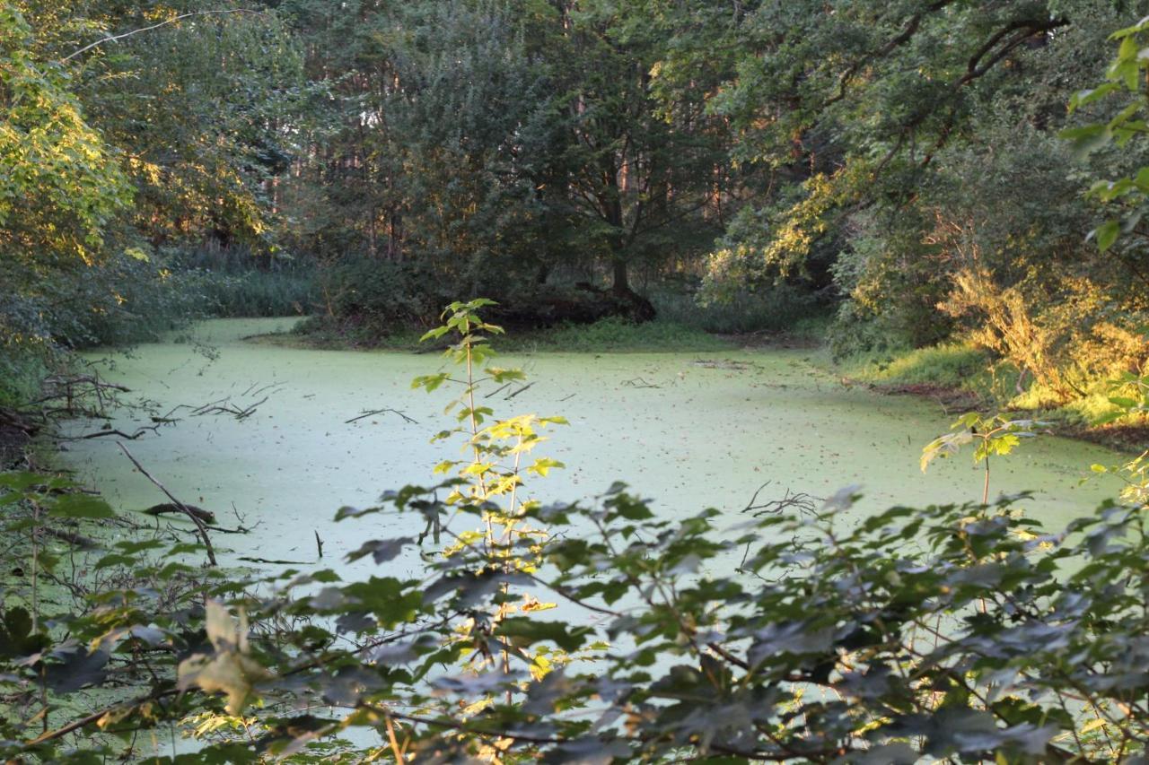 Ferienhaus Auf Gut Sautmannshausen Haselünne Exteriör bild