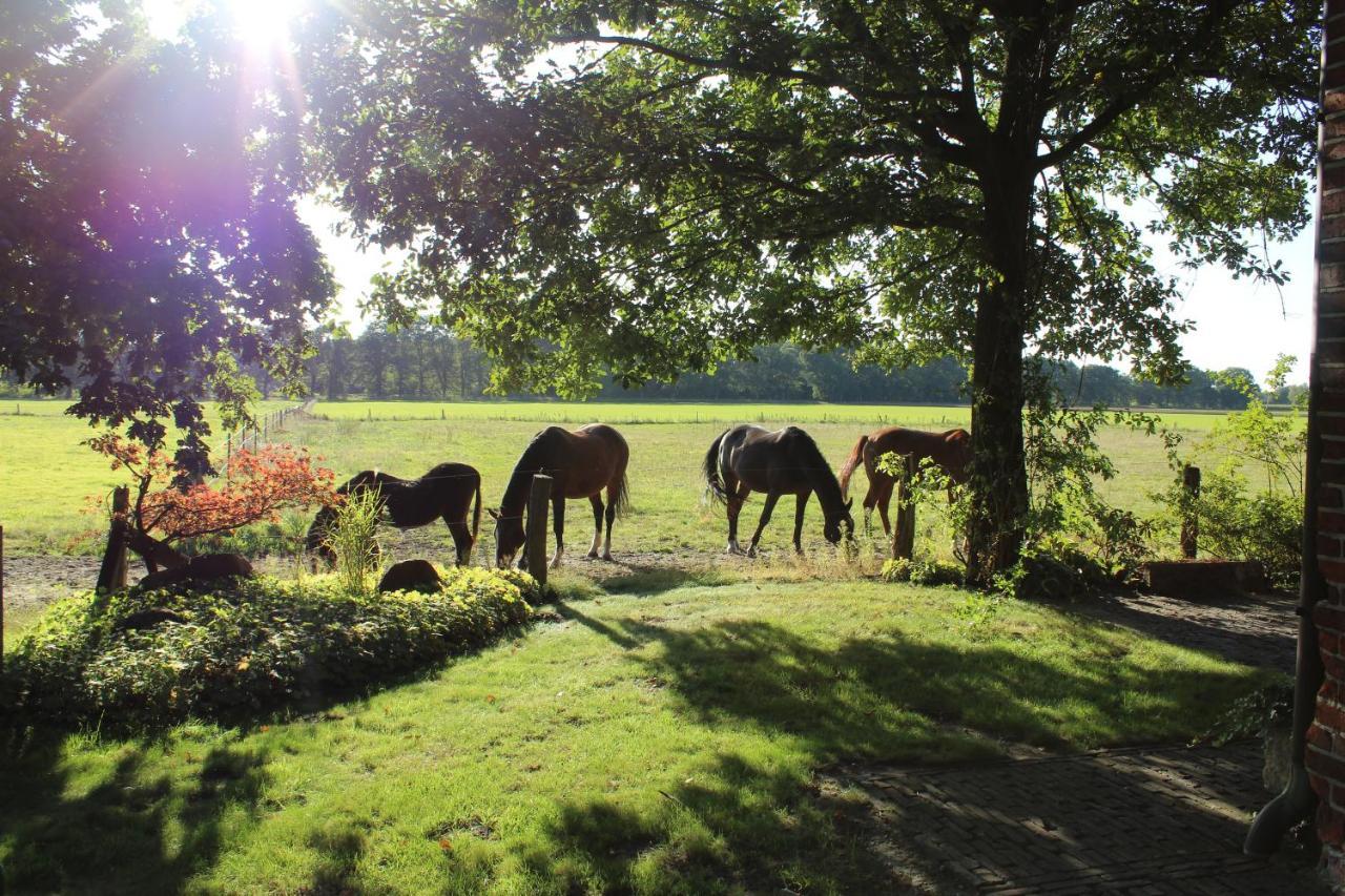 Ferienhaus Auf Gut Sautmannshausen Haselünne Exteriör bild